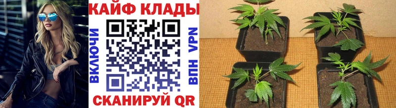 Какие есть наркотики Зея Cocaine  МЕФ  Гашиш  МАРИХУАНА 