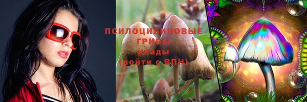 apvp Михайловск