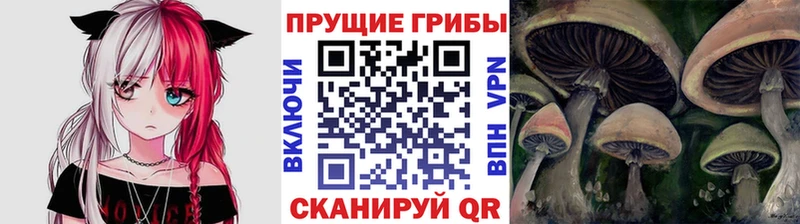 Галлюциногенные грибы MAGIC MUSHROOMS  Зея 